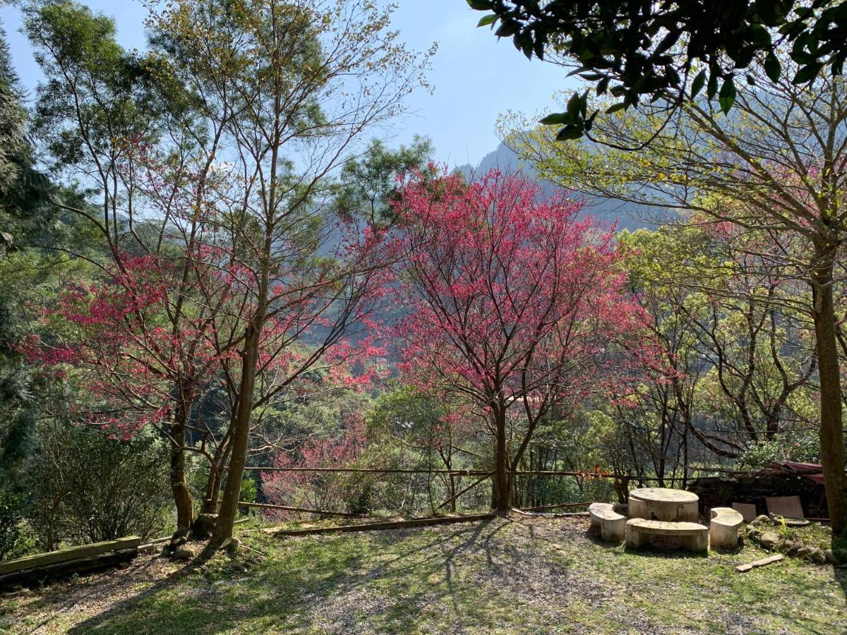 牛奶森林 柏竺山莊bozhu Villa 산이 외부 사진