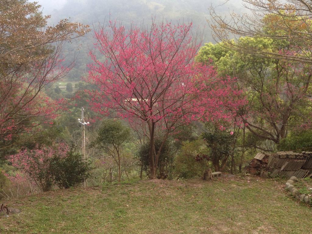 牛奶森林 柏竺山莊bozhu Villa 산이 외부 사진